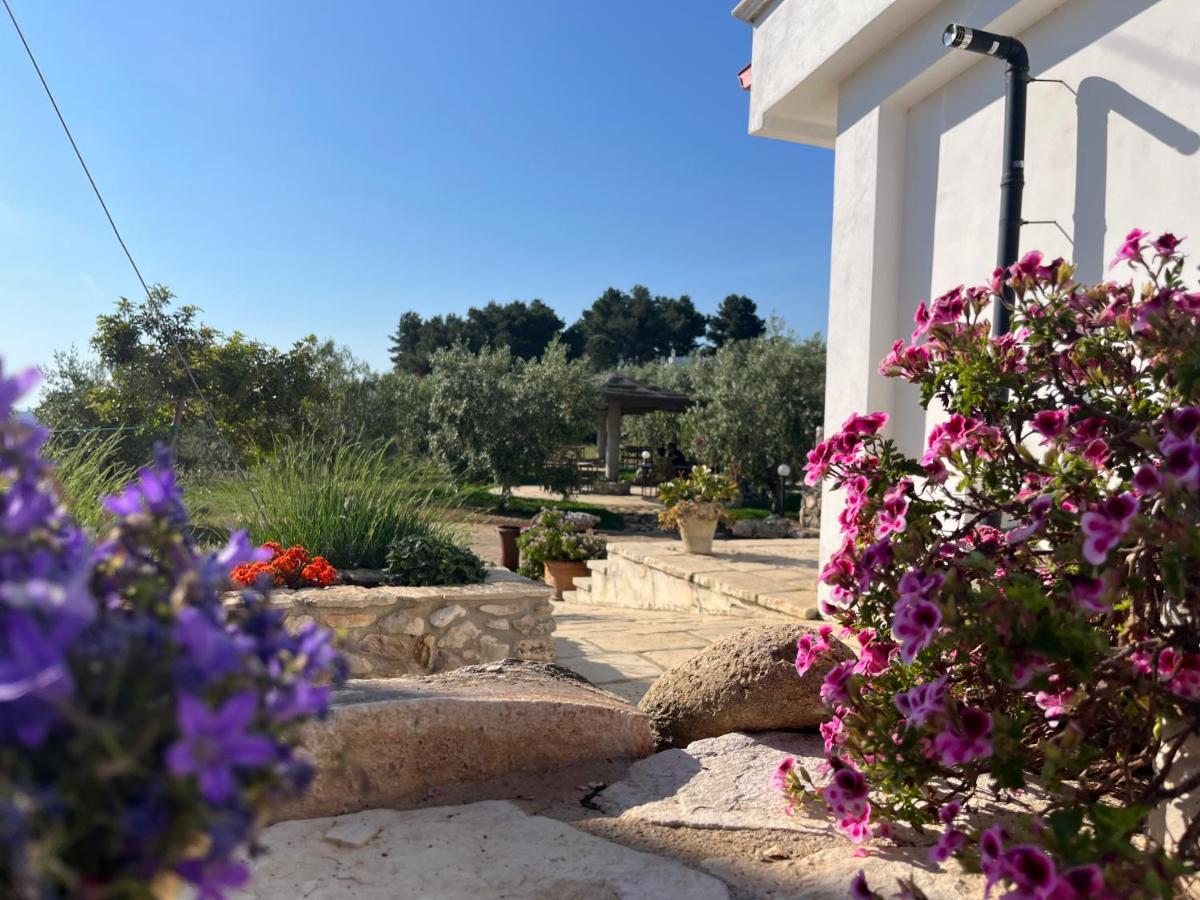 B&B Le Cicale Vieste Exterior photo